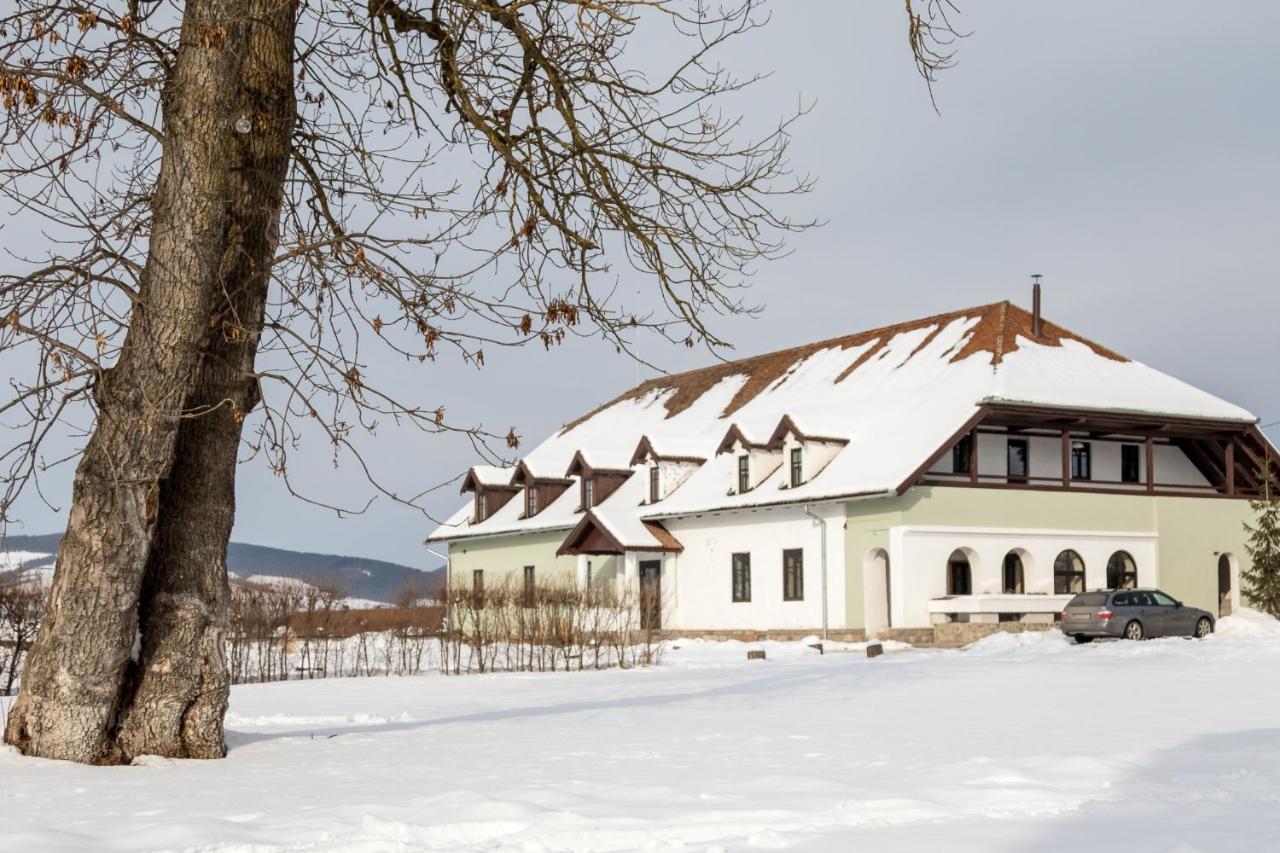 Castle Hotel Daniel Baraolt Luaran gambar